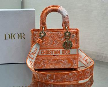 DIOR Handbags 578